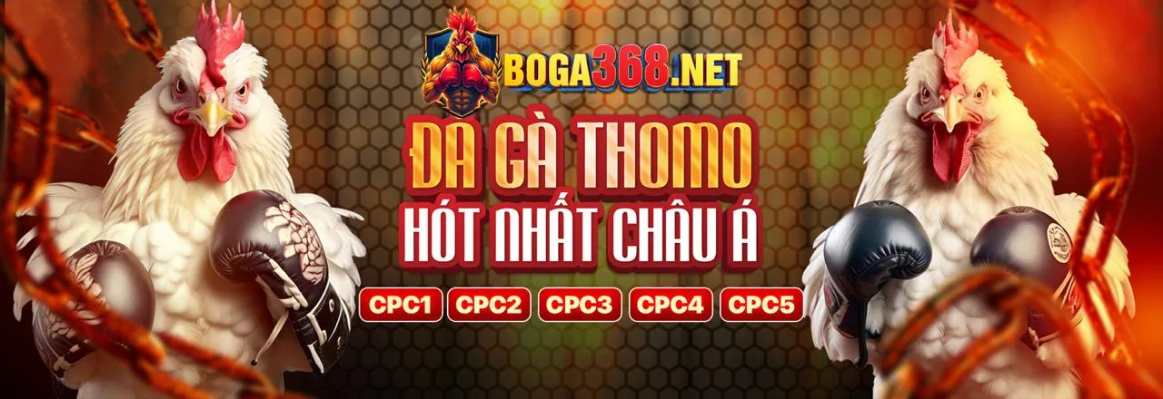 66mb bảo mật thông tin người chơi – Chính sách bảo mật